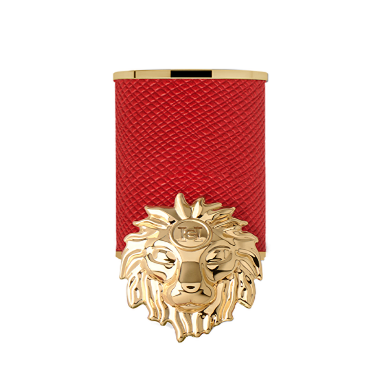 HERRERA    LION CASE     ACCS CASE